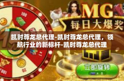 凯时尊龙总代理-凯时尊龙总代理，领航行业的新标杆-凯时尊龙总代理