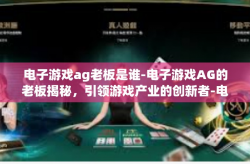 电子游戏ag老板是谁-电子游戏AG的老板揭秘，引领游戏产业的创新者-电子游戏ag老板是谁
