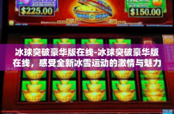 冰球突破豪华版在线-冰球突破豪华版在线，感受全新冰雪运动的激情与魅力-冰球突破豪华版在线