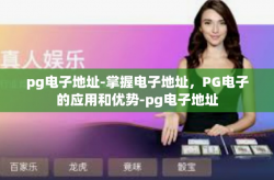 pg电子地址-掌握电子地址，PG电子的应用和优势-pg电子地址