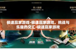 极速赢家游戏-极速赢家游戏，挑战与乐趣的交汇-极速赢家游戏