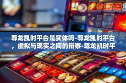 尊龙凯时平台是实体吗-尊龙凯时平台，虚拟与现实之间的辩察-尊龙凯时平台是实体吗