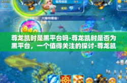尊龙凯时是黑平台吗-尊龙凯时是否为黑平台，一个值得关注的探讨-尊龙凯时是黑平台吗