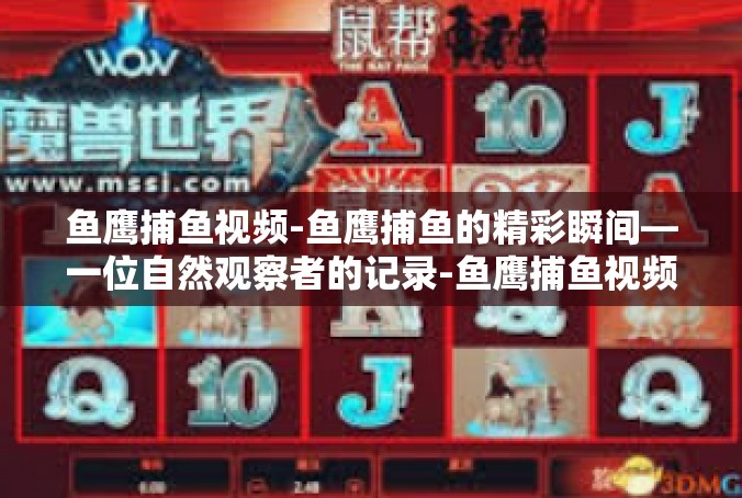 鱼鹰捕鱼视频-鱼鹰捕鱼的精彩瞬间—一位自然观察者的记录-鱼鹰捕鱼视频
