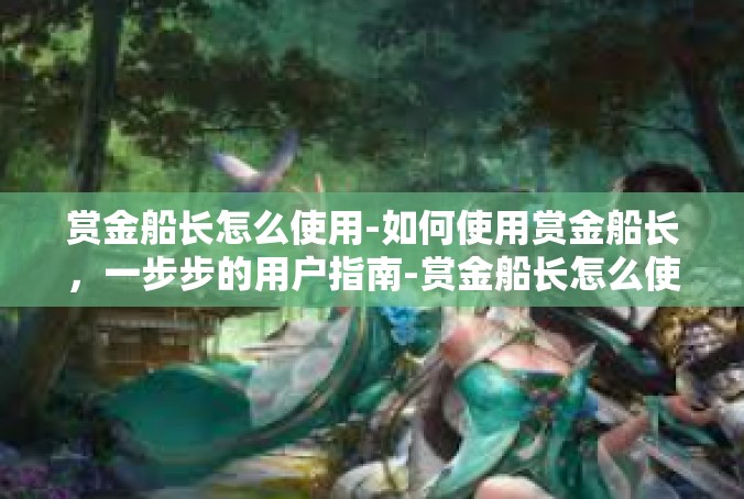 赏金船长怎么使用-如何使用赏金船长，一步步的用户指南-赏金船长怎么使用